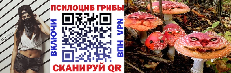 Галлюциногенные грибы мицелий  Гусиноозёрск 